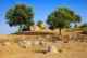 Руины Храма Посейдона