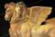 Крылатые кони из храма Ара Дела Регина